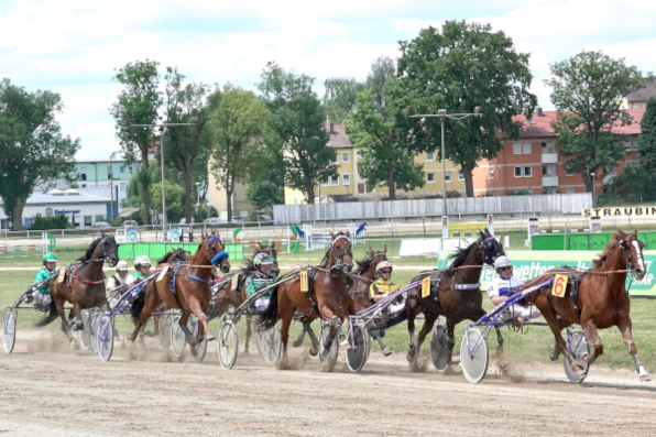 PMU-Sprint am Mittwoch in Straubing ab 12 Uhr. Drei Rennen werden nach Frankreich übertragen, darunter auch ein mit 14 Pferden voll besetztes Feld. Dazu gibt es auch lukrative Wettanreize in der Dreierwette. (Foto: W. Schaffrath)