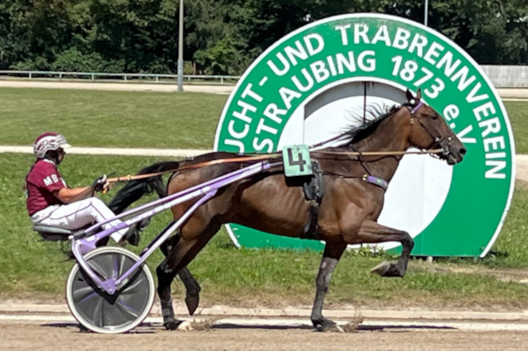 Das NiederbayernTV-Steher-Rennen über 3700 Meter sicherte sich Perceval in der Hand von Marisa Bock, der damit im Juli viermal auf die Ehrenrunde gehen konnte.