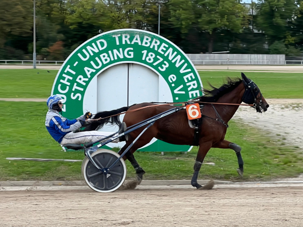 Die launische, aber laufstarke Marilyn Boko könnte mit Peter Platzer einen wichtigen Treffer zum Titel „Straubinger Pferd des Jahres“ einsammeln. (Foto: M. Bäumel-Schachtner)