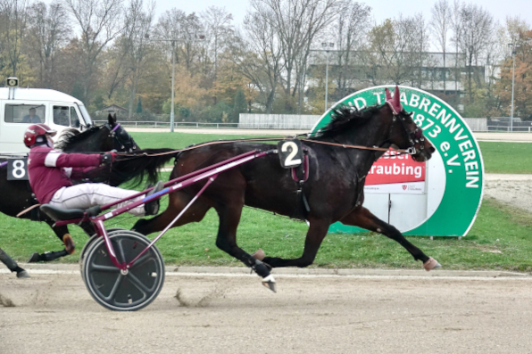 Mit Breeding of Hanke sicherte sich Martin Geineder das diesjährige Anna Schumm-Rennen mit seinem starken Speed.