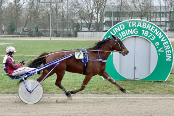 Christoph Fischer sichert sich das Straubinger Bahnchampionat mit dem Sieg des treuen Fan d’Arifant.