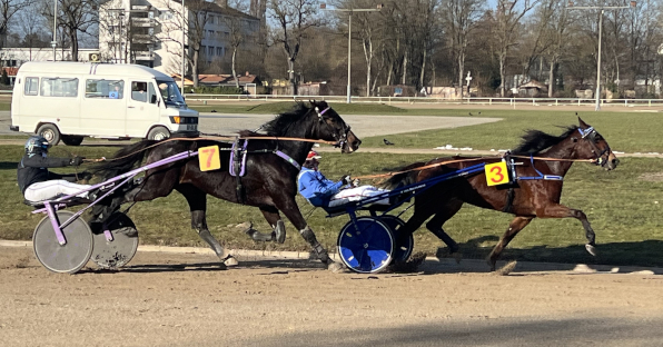 Tequila Sunrise fertigte auf diesmal für sie besserer Piste den Comebacker Eberhard Truppo ab.