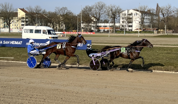 Ois Tschikago gewann in toller Manier und empfahl sich für einen Start in Vincennes. (Fotos: M. Bäumel-Schachtner)