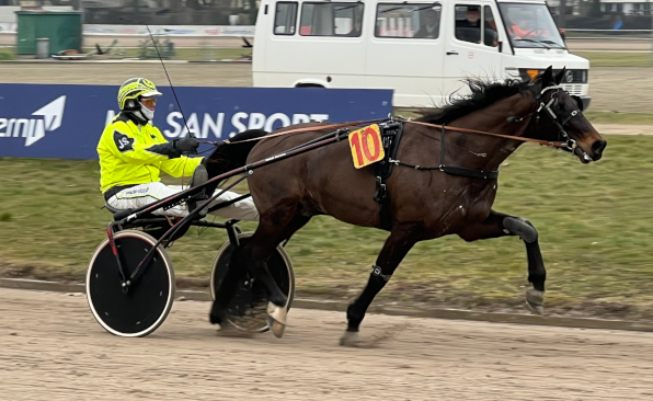 Far Wests letzter Sieg in Straubing war 2023 – das kann sich beim Finalrenntag des Straubinger Wintermeetings ändern. (Foto: Bäumel-Schachtner)